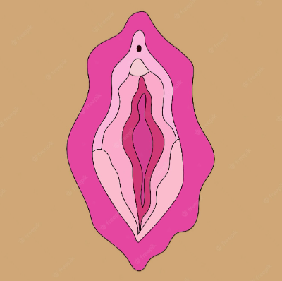 vulva (The Health Store Turkey)